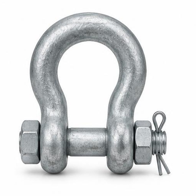 Forged Bow Shackle Bolt Nut Type
